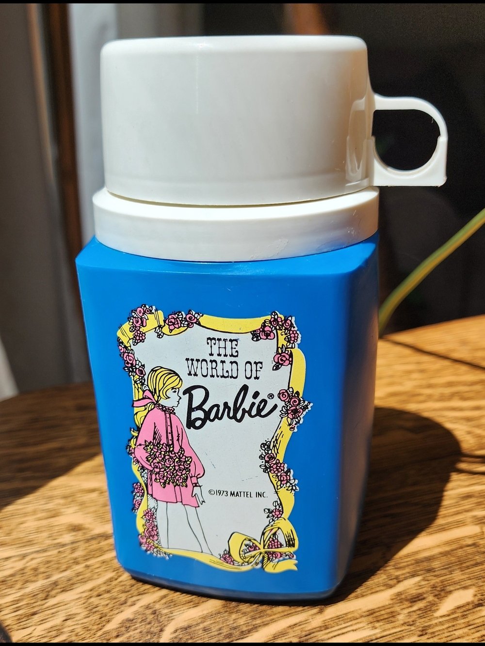 1973 "The World of Barbie" Vintage Lunchbox Thermos